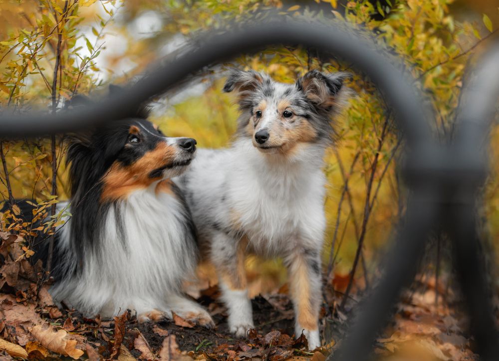 Photograph by Зубкова Юлия