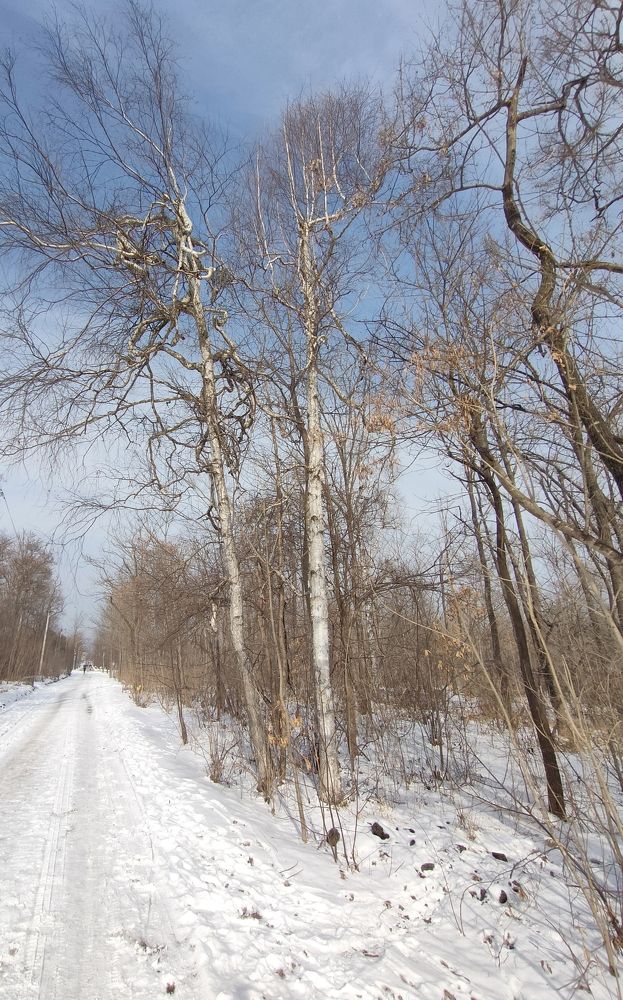 Photograph by Елена Егорова