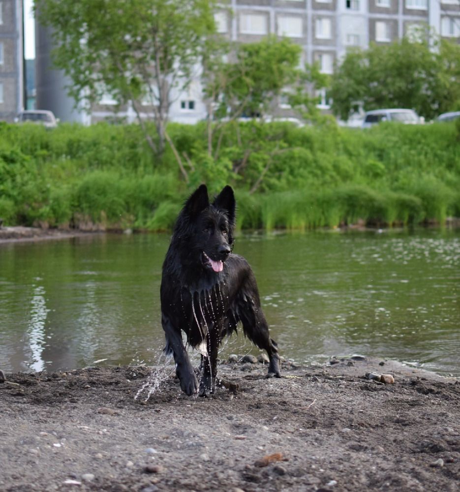 Photograph by Анастасия Устинова