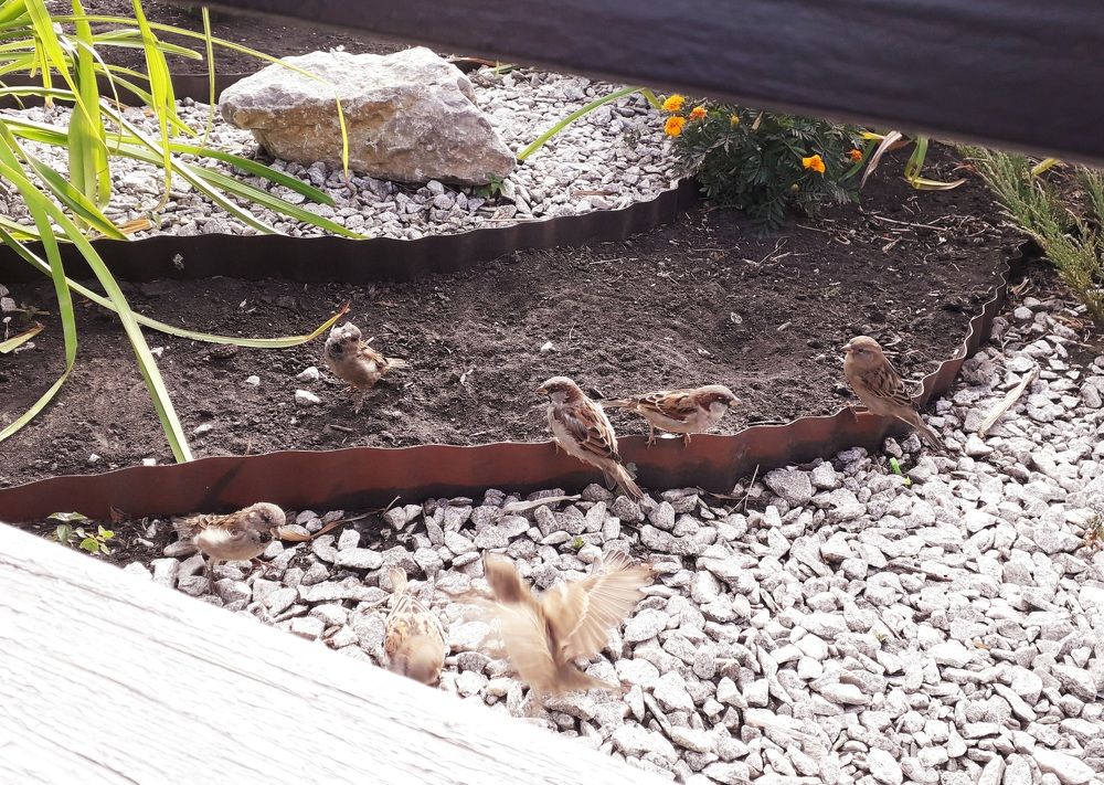 Photograph by Бутовец Алёна