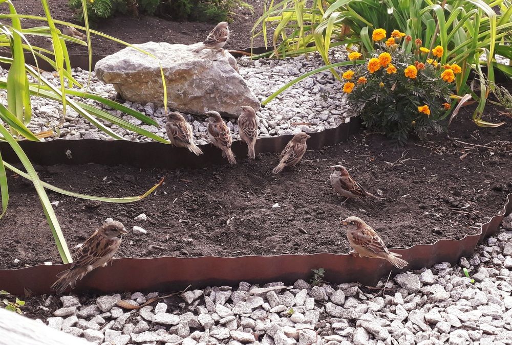 Photograph by Бутовец Алёна