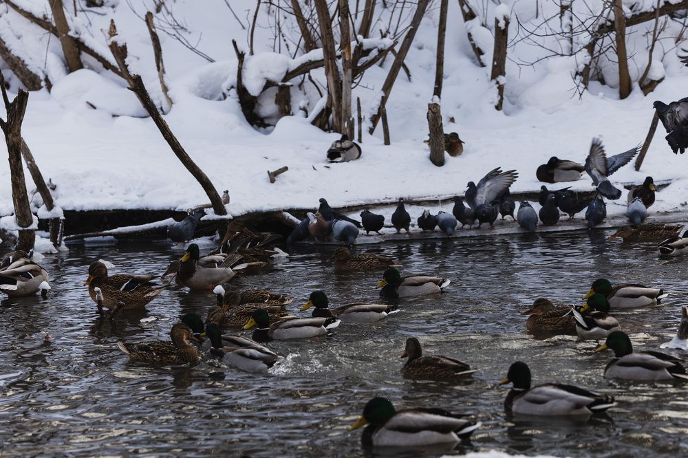 Фотография автора Елена Попова