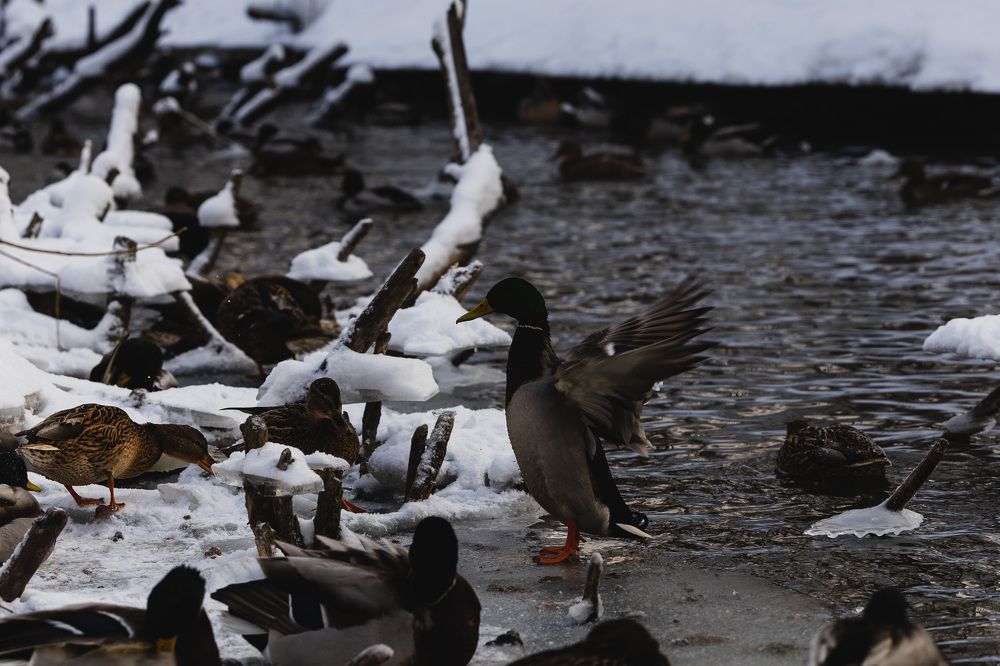 Фотография автора Елена Попова