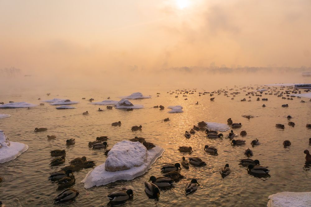 Photograph by Александр Пургин