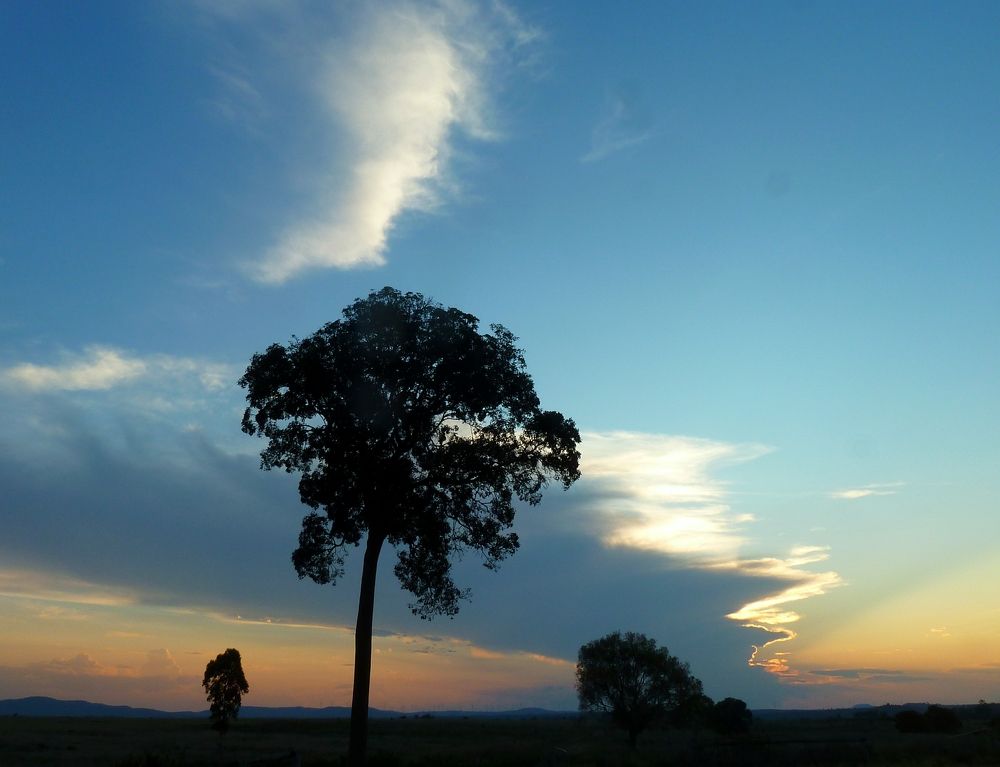 Фотография автора Maryanne