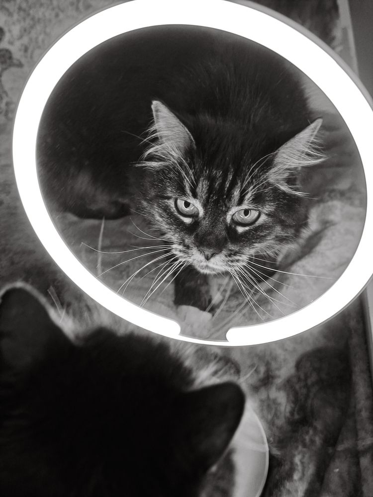 Photograph by Людмила Сарыцина