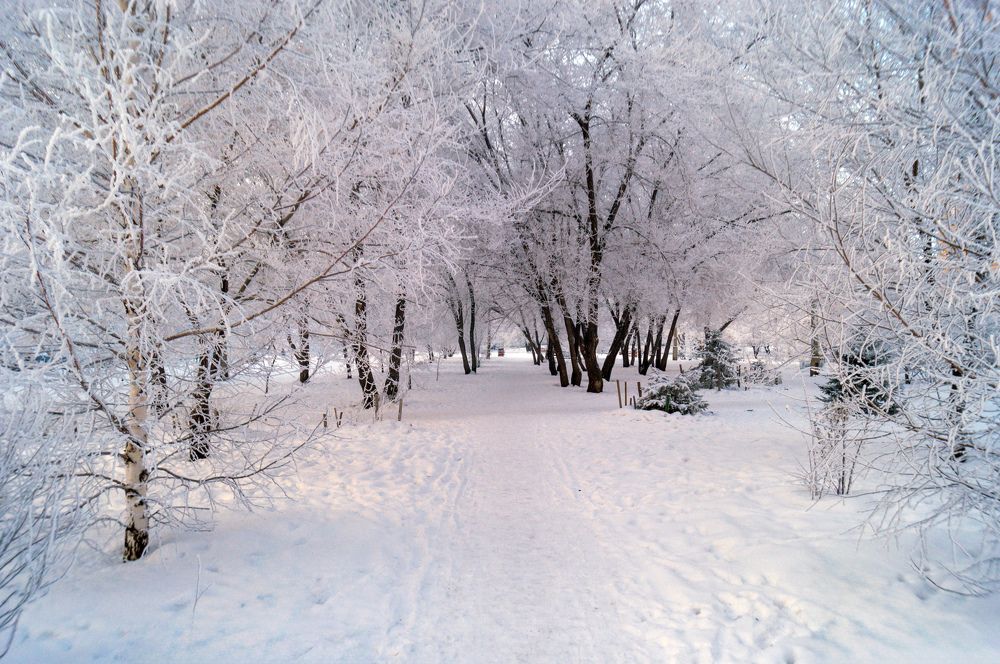 Photograph by Александр Пургин