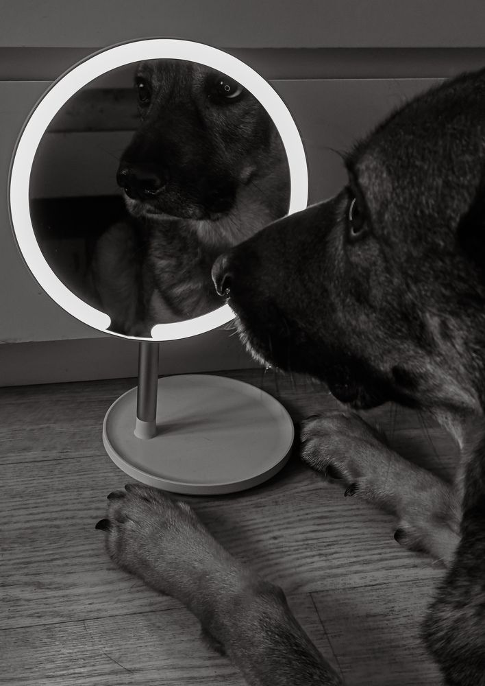 Photograph by Людмила Сарыцина