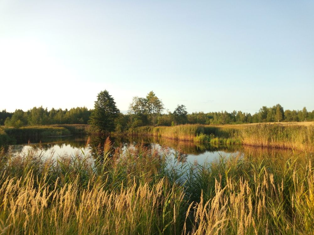 Photograph by Юлия