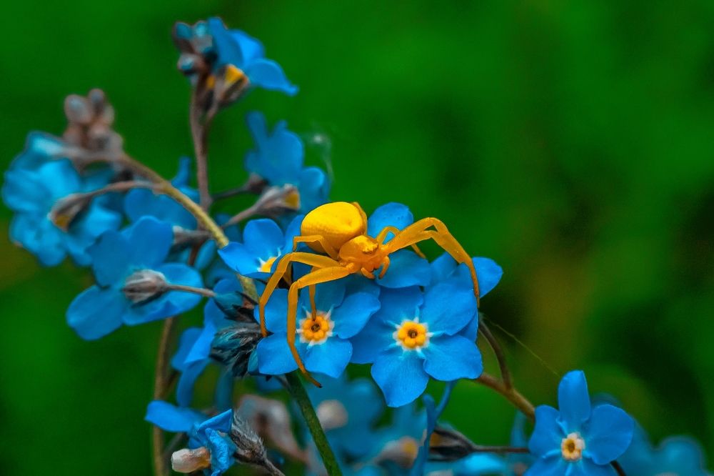 Фотография автора Николай Бологов
