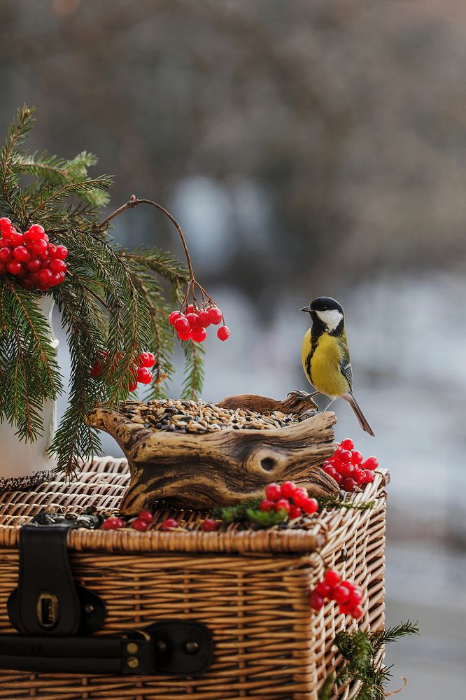 Photograph by Анна Ушакова