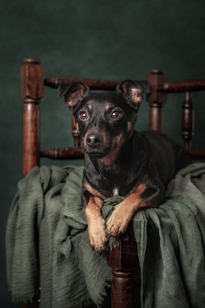 Photograph by Goené Gertrude