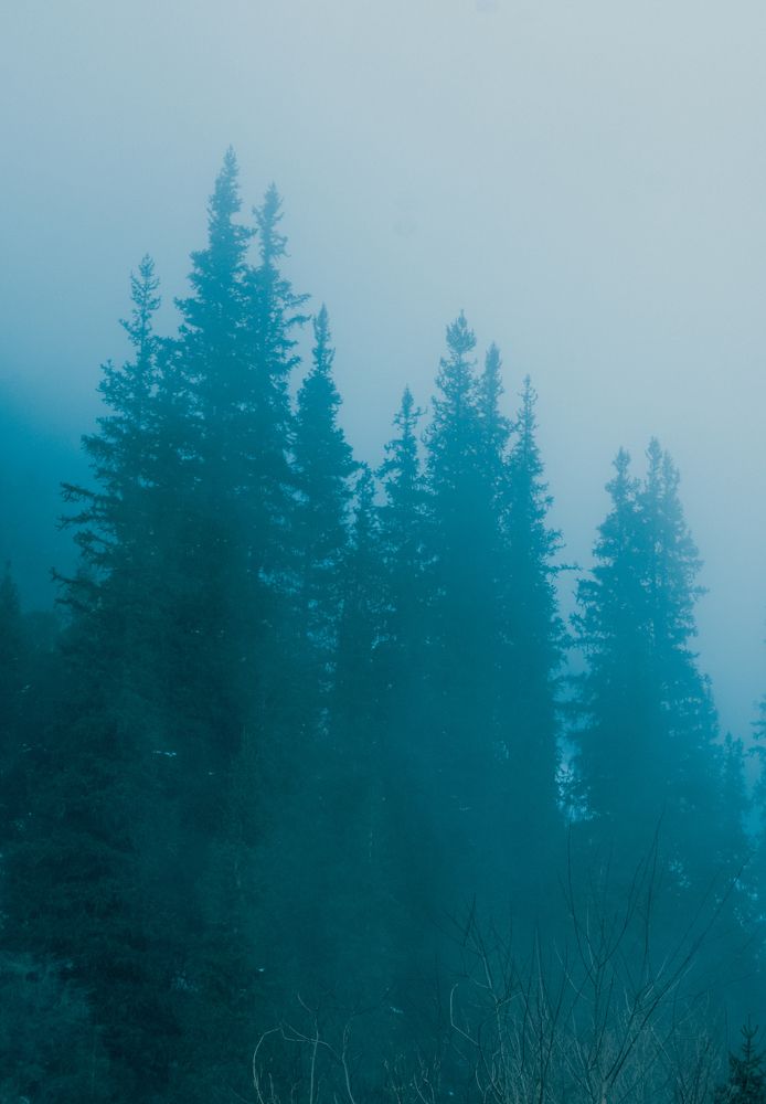 Фотография автора Владимир Широкий