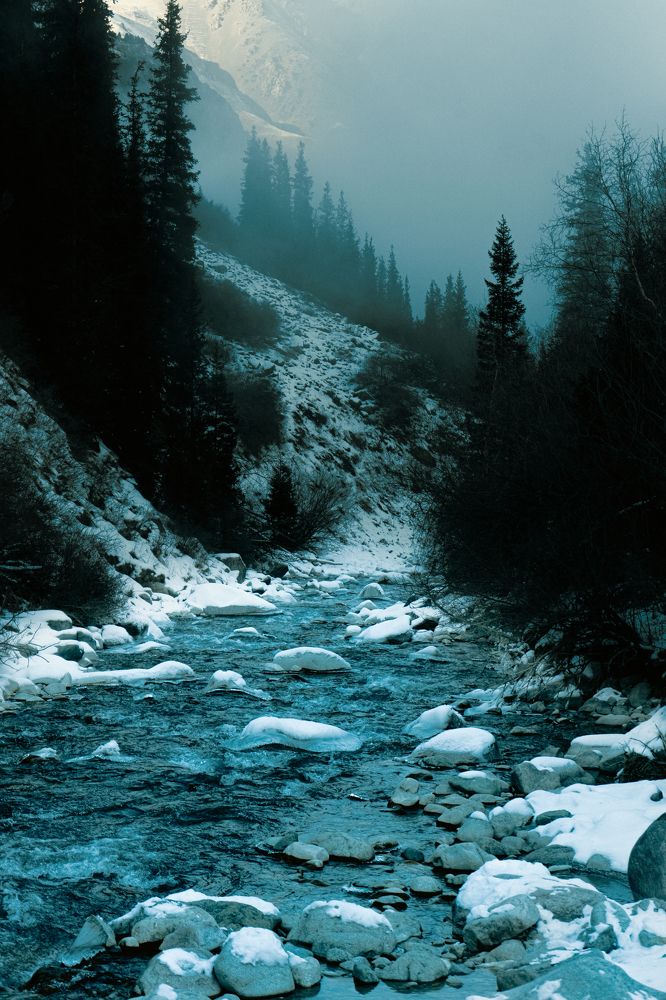 Фотография автора Владимир Широкий