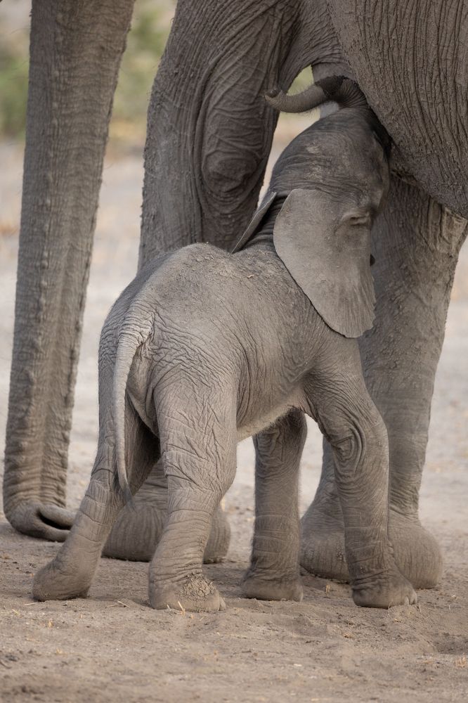 Photograph by Raquel Barao