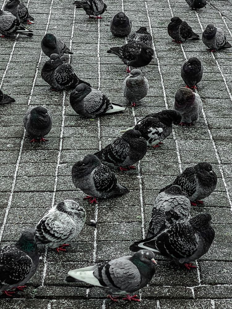 Photograph by Nika Prokopenko