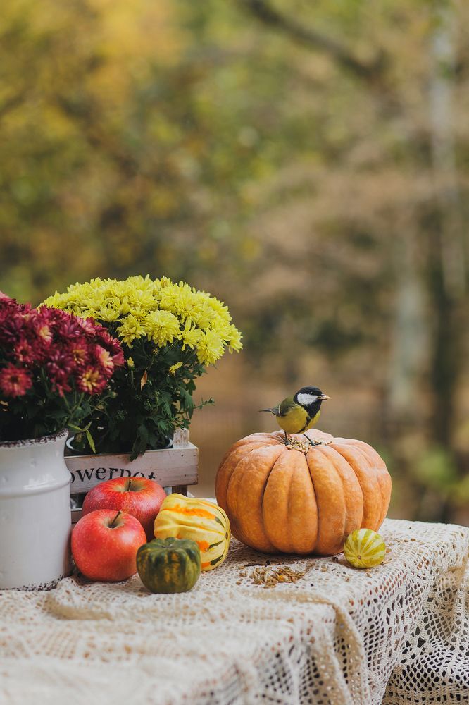 Photograph by Анна Ушакова