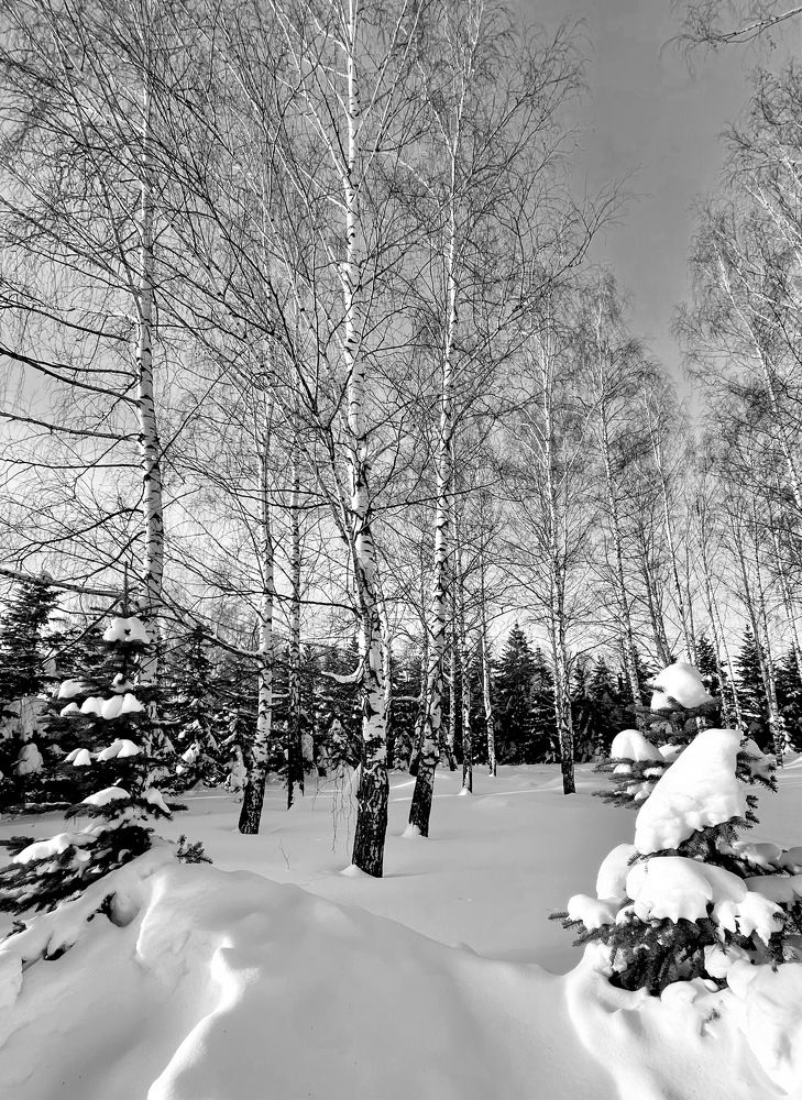Photograph by Татьяна Мустафина