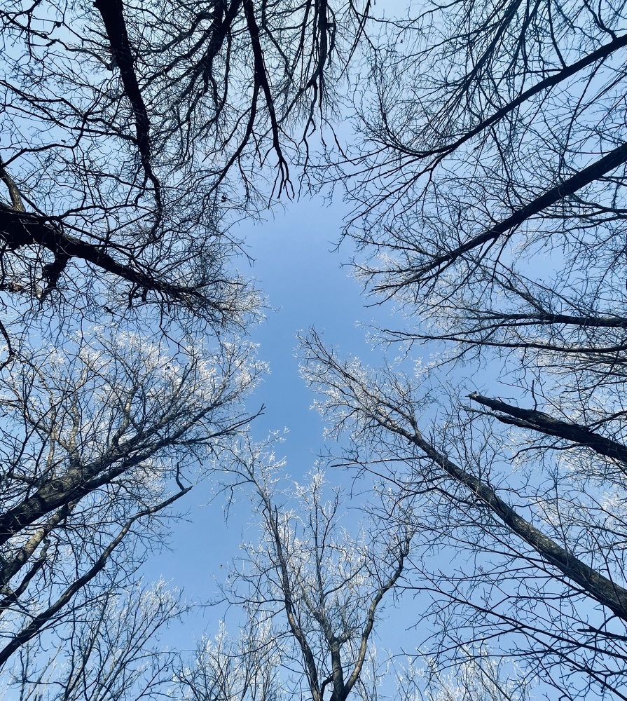 Photograph by Татьяна Мустафина