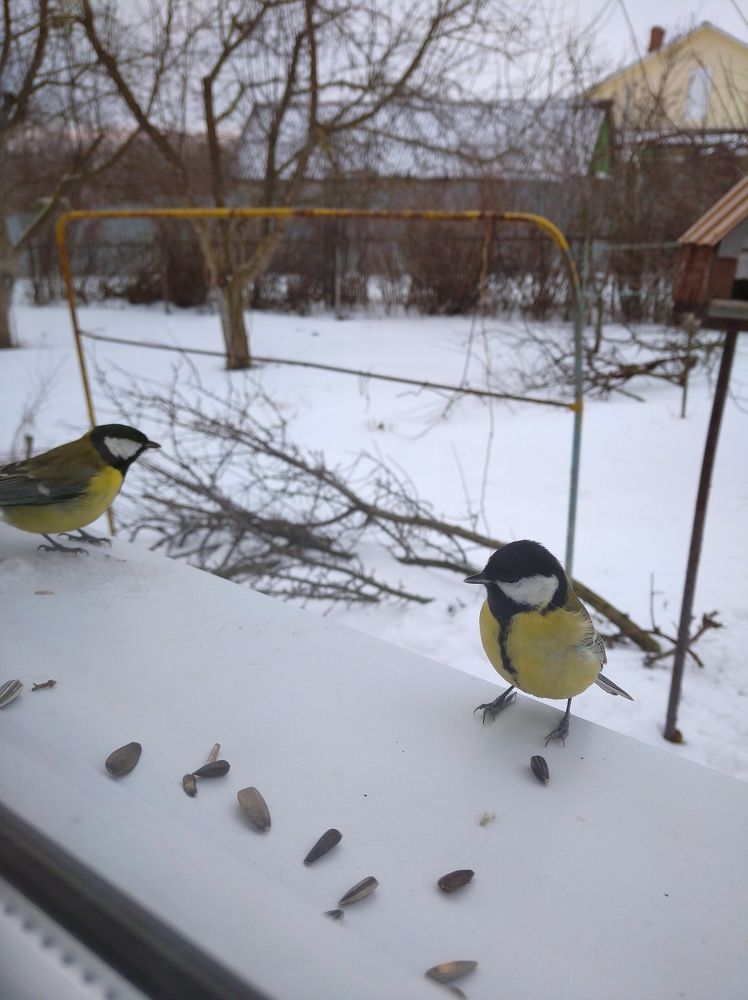 Photograph by Елена Коробченко