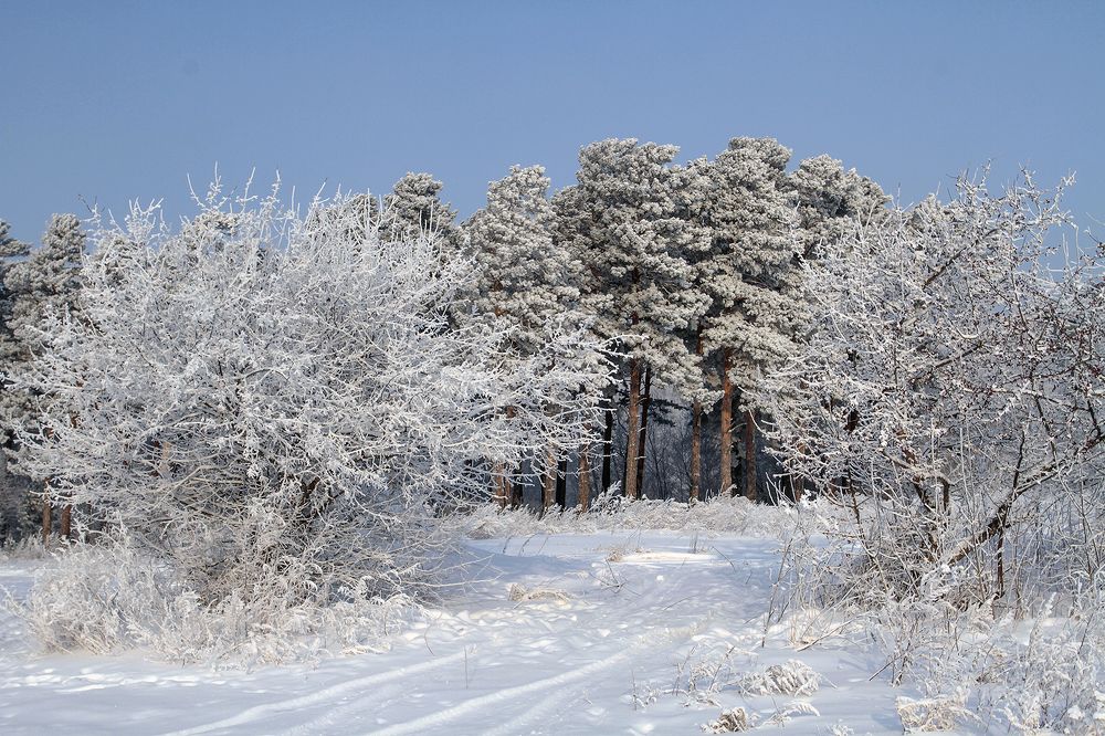 Photograph by Сергей Черных