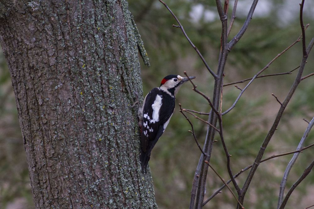 Photograph by Капанов Владислав