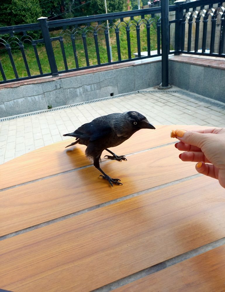 Photograph by Яна