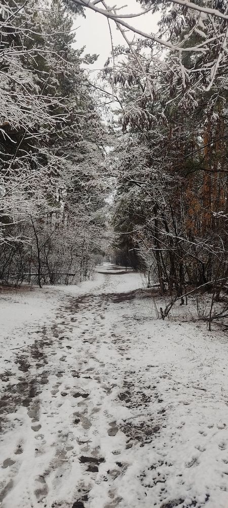 Photograph by Дмитрий Тимин