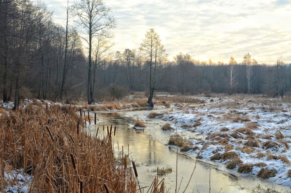 Фотография автора Ольга Беликова