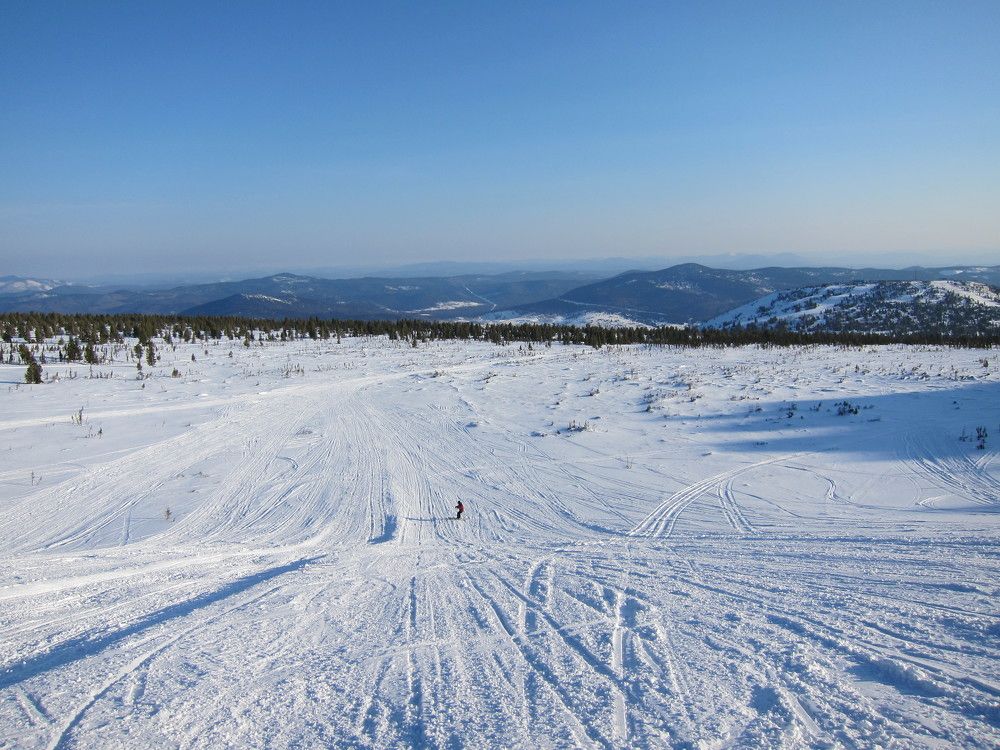 Photo #11767809