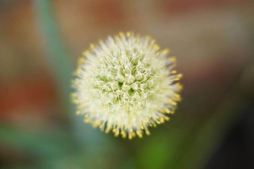 Photograph by Наталья Микулич