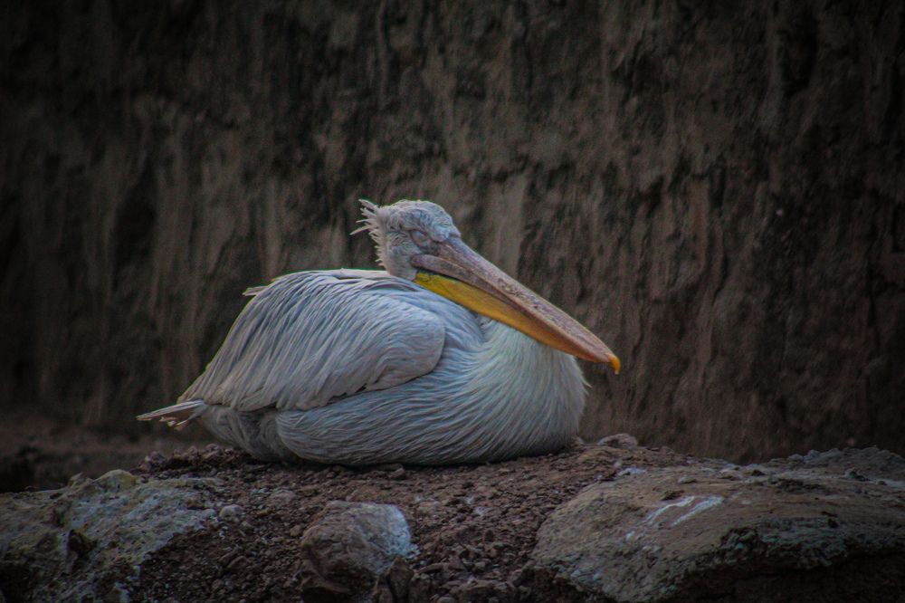Photograph by Ziad Rizwan