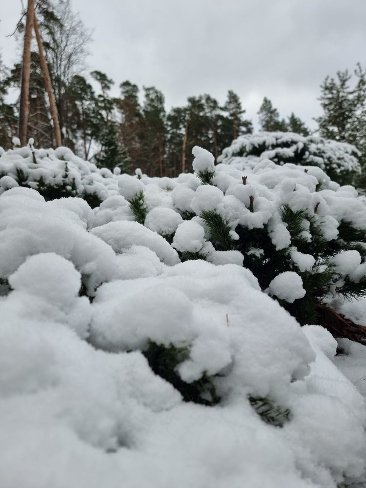 Photograph by Евгений Фесенко