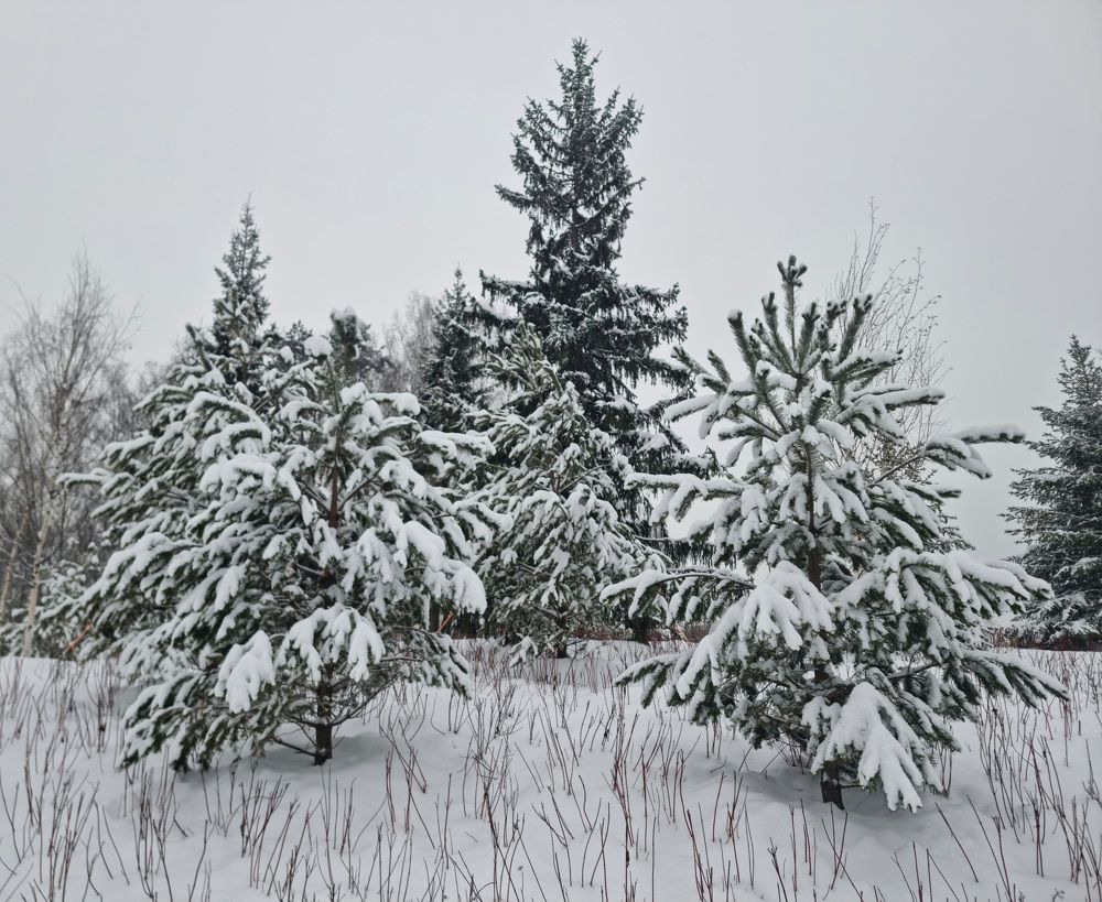 Photograph by Евгений Фесенко