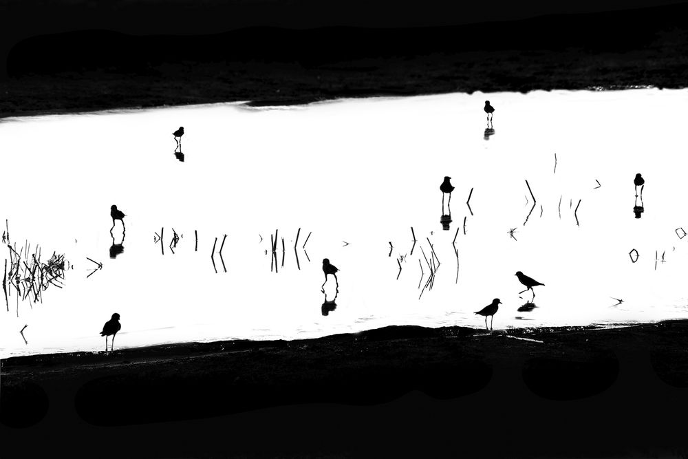 Photograph by Варвара Штерн