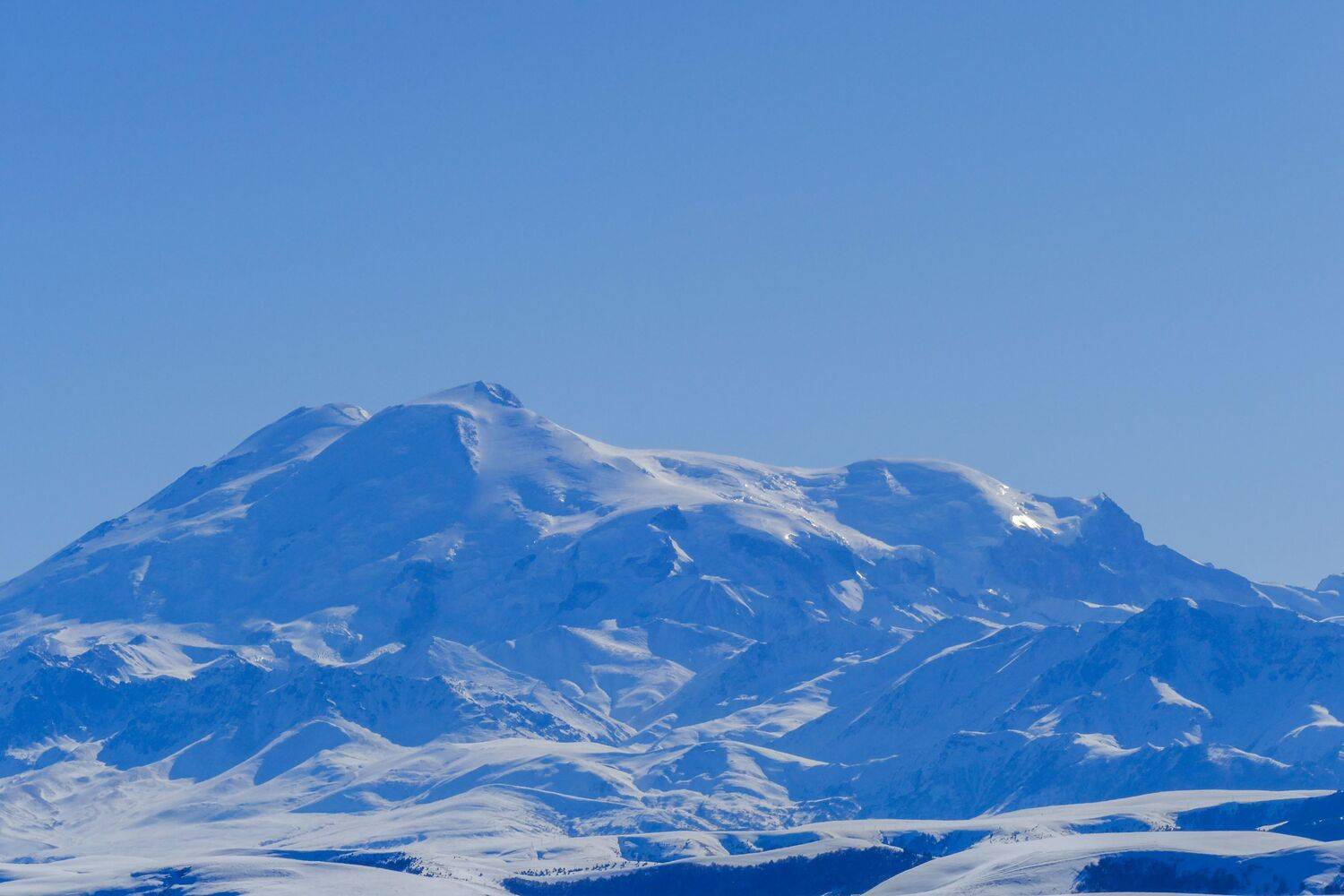 Photo #11767907