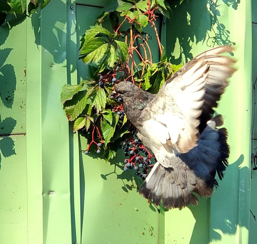 Photograph by Евгений Фесенко