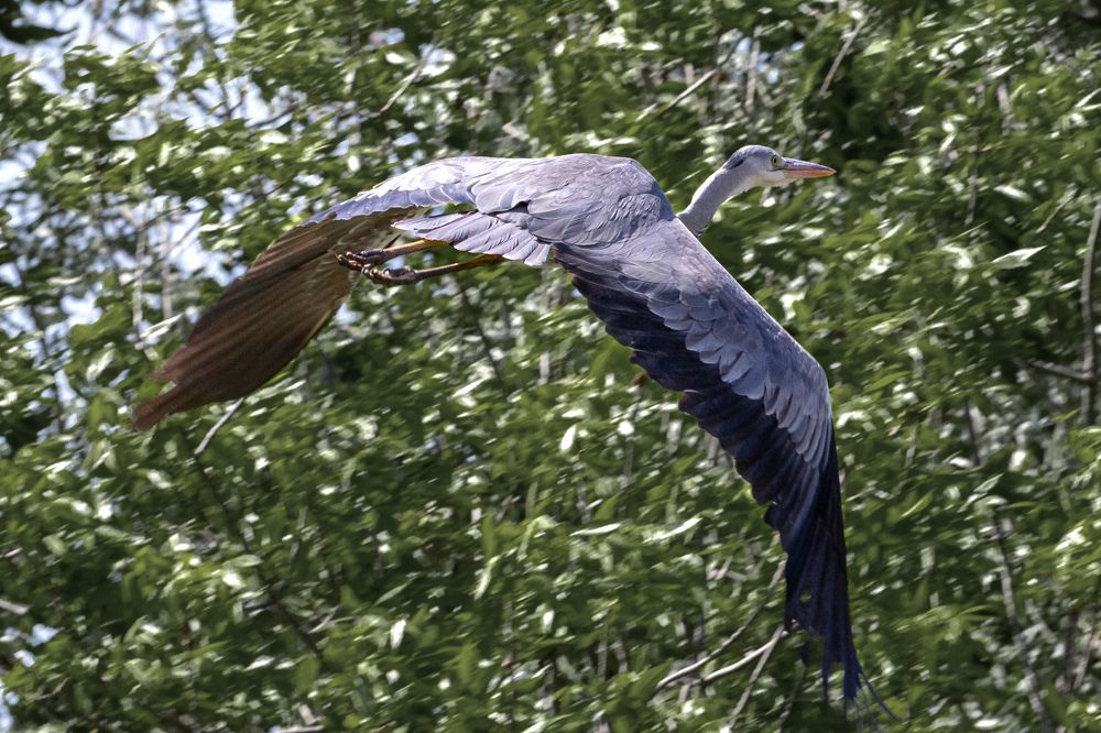 Photograph by Lapin Vitaly