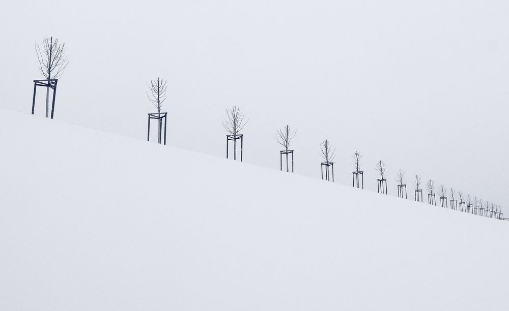 Photograph by Сергей Григорьев