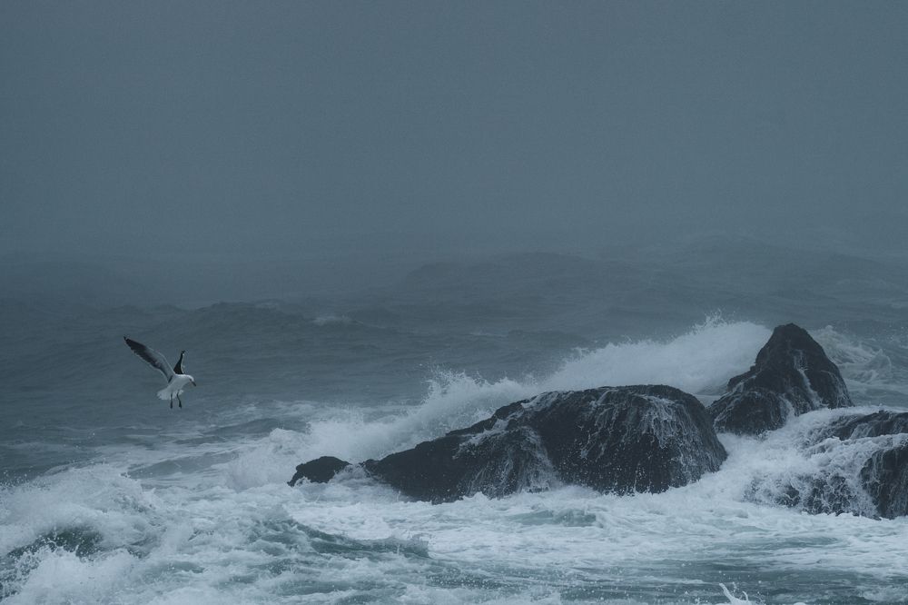 Photograph by Наталья Сонникова