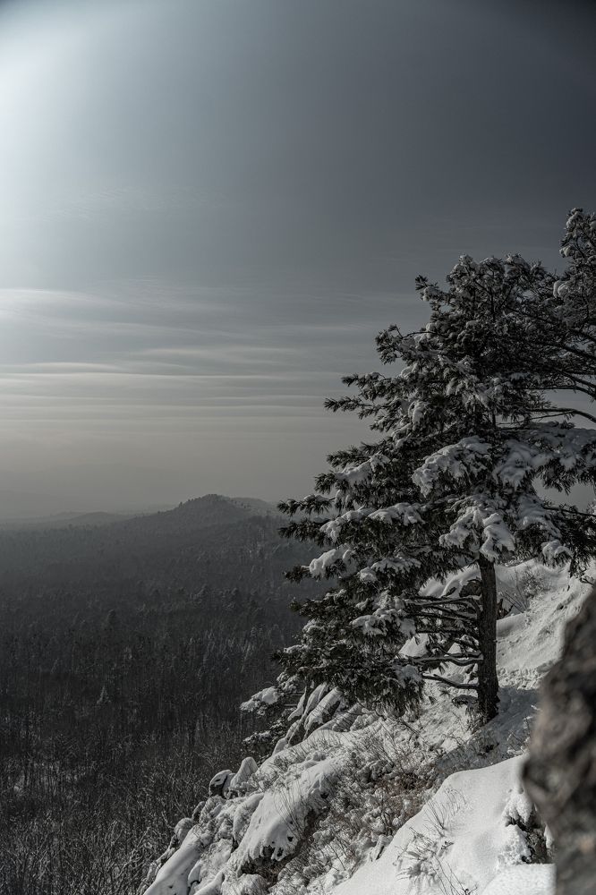 Photograph by Щебланов Виктор