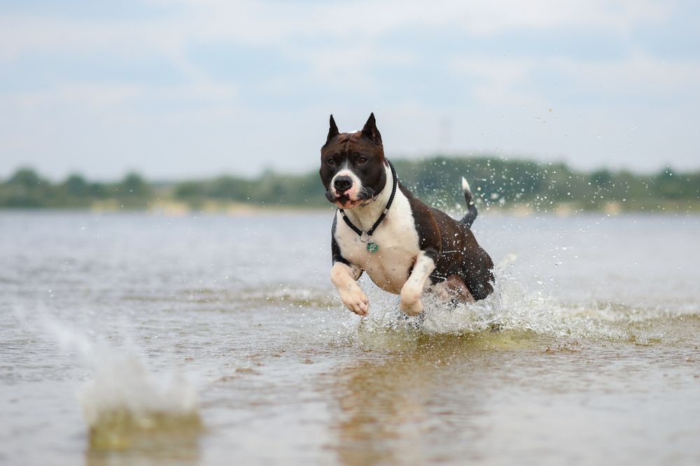 Фотография автора Алена Ковалёва