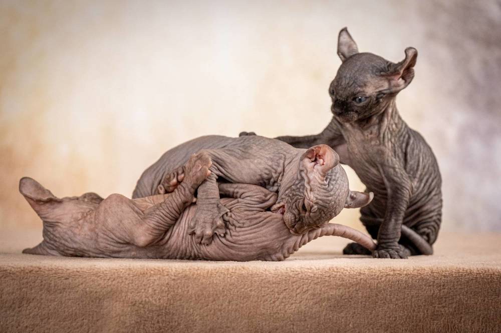 Photograph by Dina Damotseva