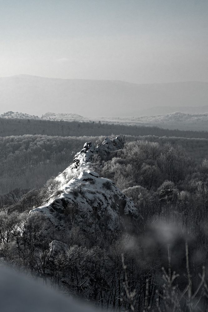 Photograph by Щебланов Виктор