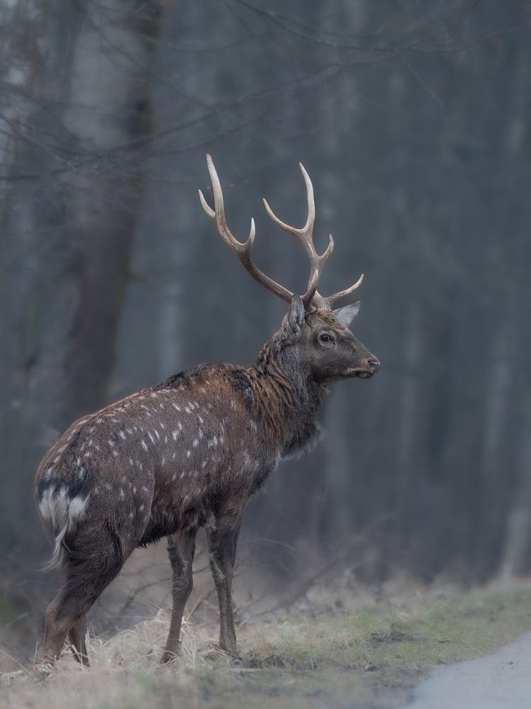 Photograph by Сергей Немцев