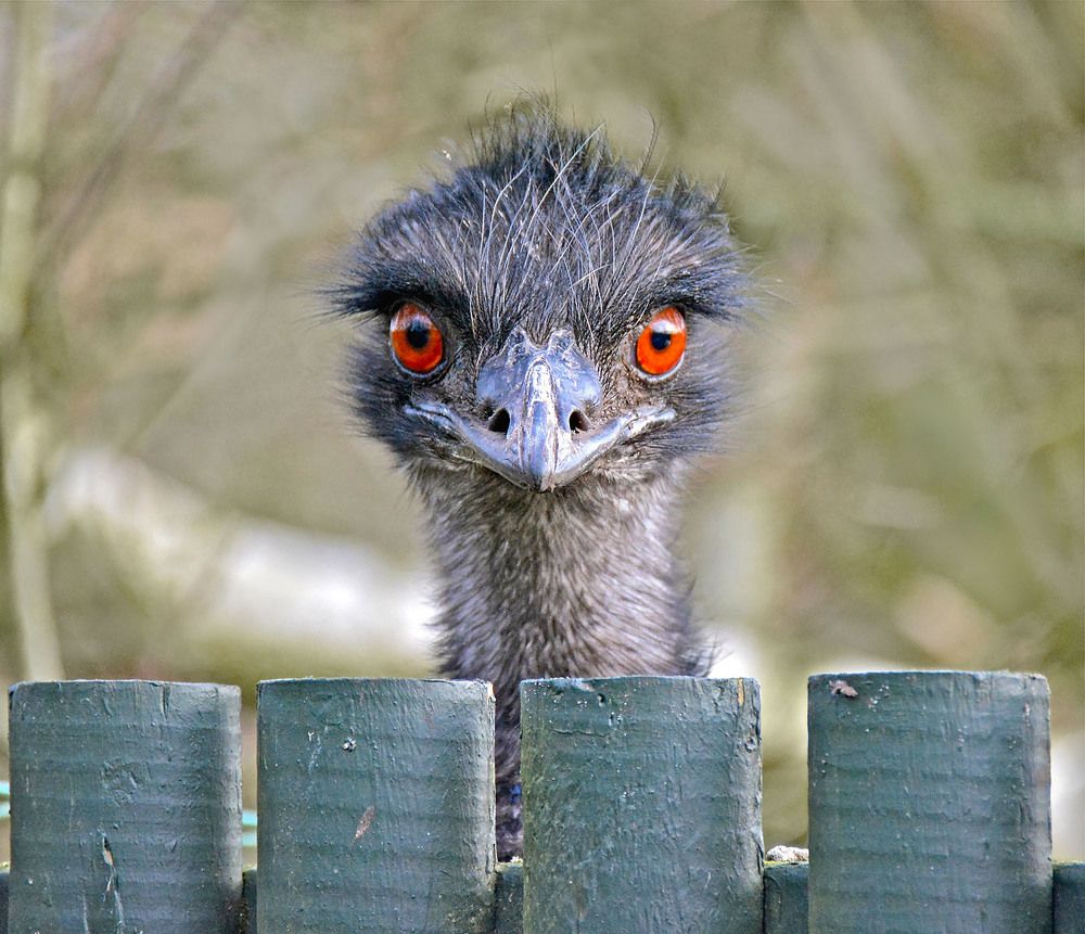 Photograph by Marjo Steffen