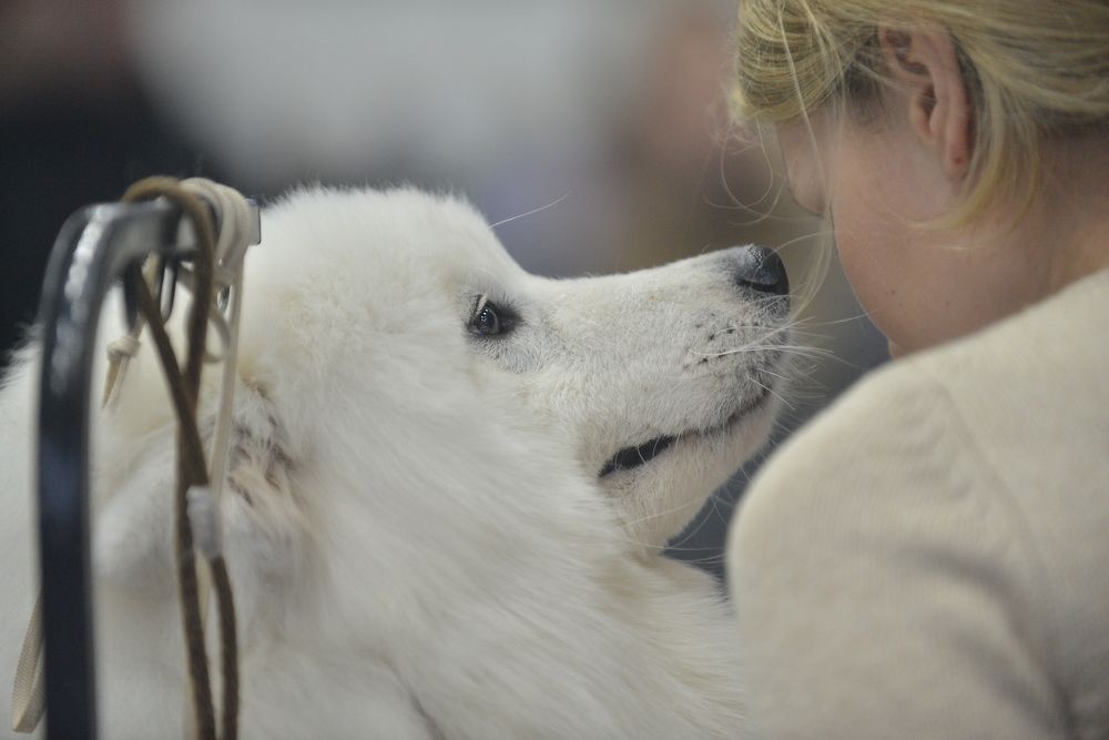 Photograph by Алексей Volg