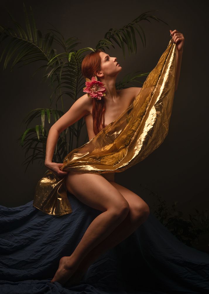 Фотография автора Илья Фаминцын