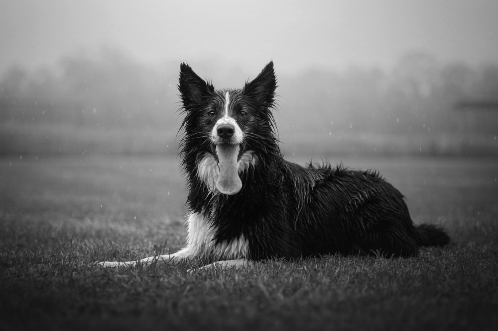 Photograph by Dorota Hnatová