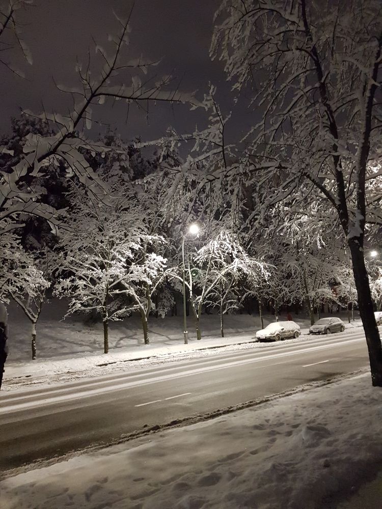 Photograph by Dmitrij Zykunov